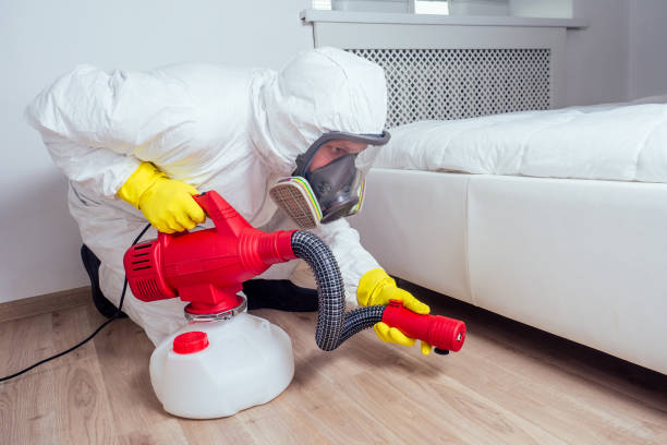 Best Affordable Exterminators  in Kentfield, CA