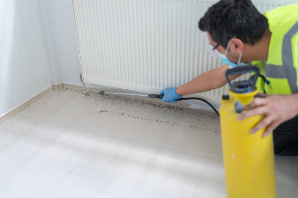 Pest Prevention Services in Kentfield, CA