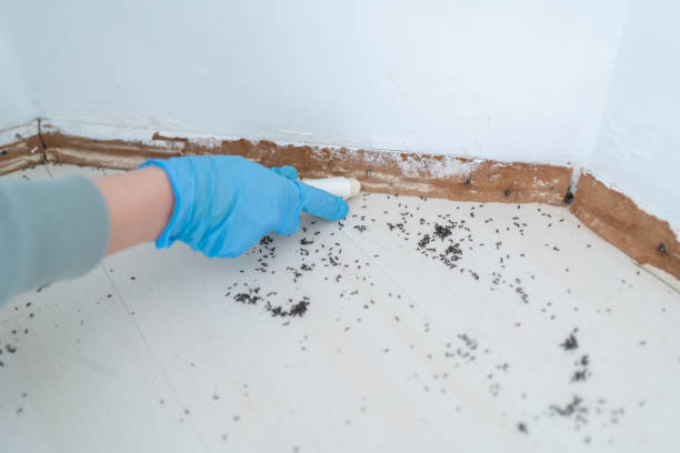 Best Commercial Pest Control Services  in Kentfield, CA